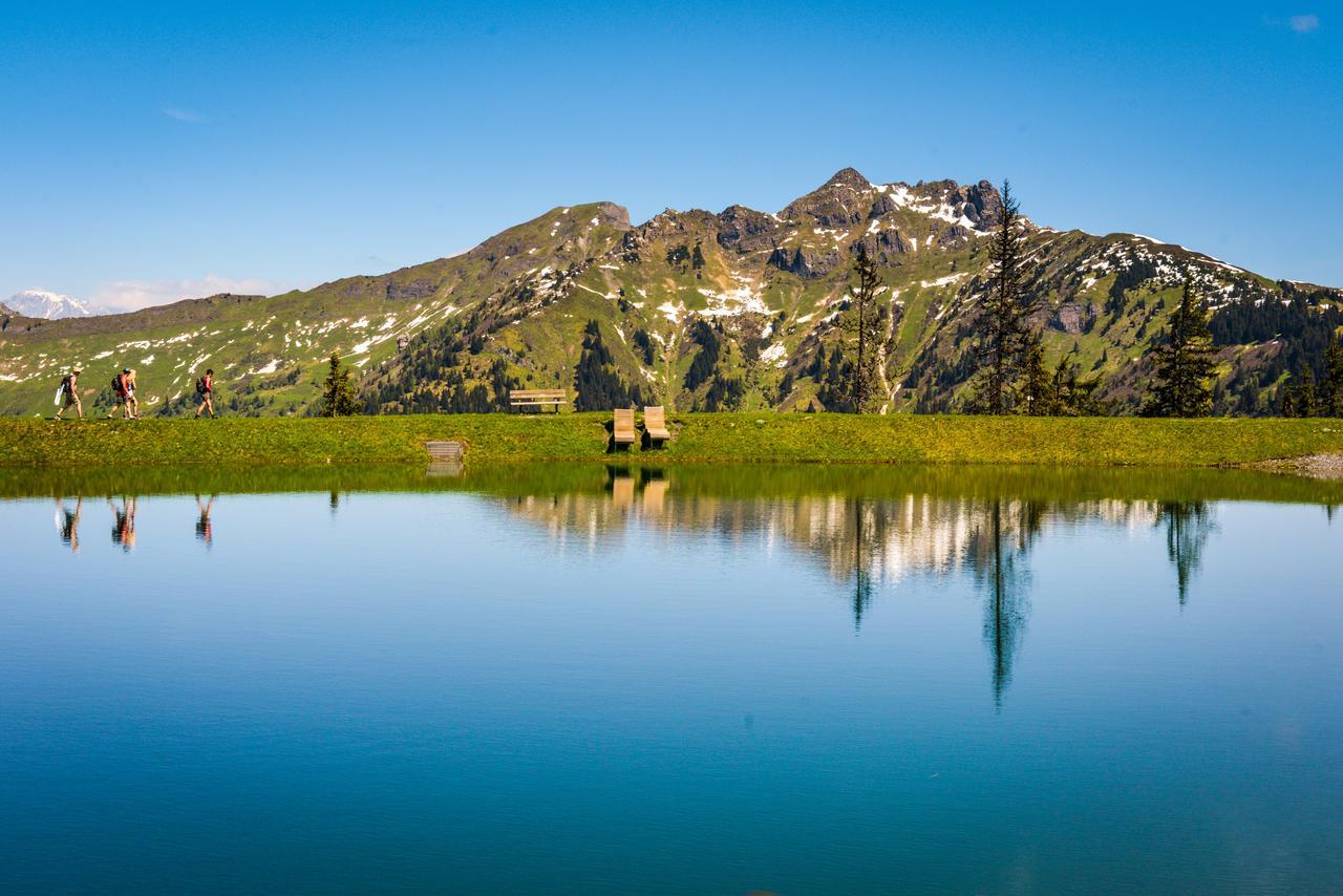 Bergparadies Appart Luxkogel Dorfgastein Exterior foto